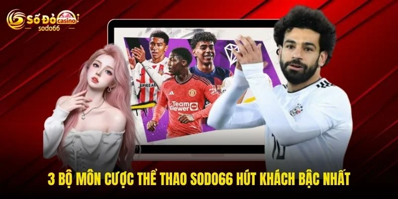 3 bộ môn cược thể thao SODO66 hút khách bậc nhất