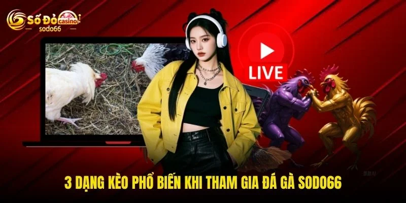 3 dạng kèo phổ biến khi tham gia đá gà SODO66