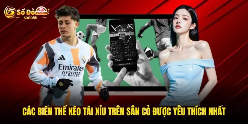 Các biến thể kèo tài xỉu trên sân cỏ được yêu thích nhất Các biến thể kèo tài xỉu trên sân cỏ được yêu thích nhất