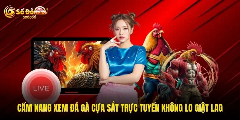 Cẩm nang xem đá gà cựa sắt trực tuyến không lo giật lag