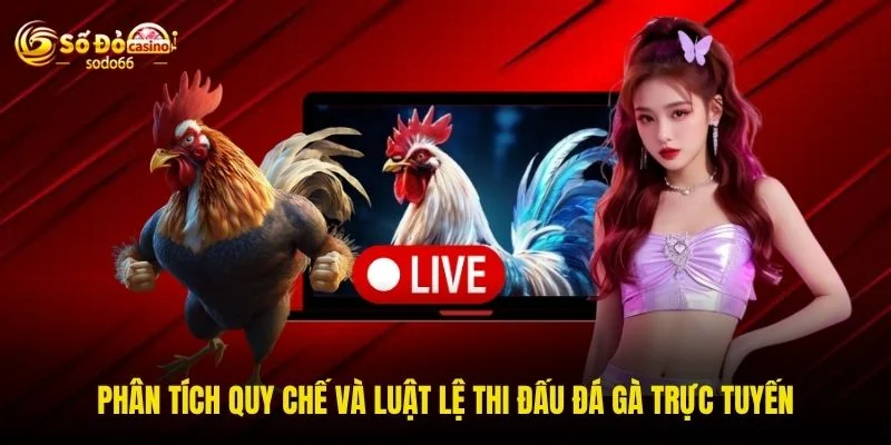 Phân tích quy chế và luật lệ thi đấu đá gà trực tuyến