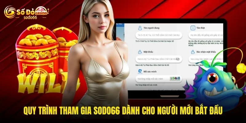 Quy trình tham gia SODO66 dành cho người mới bắt đầu
