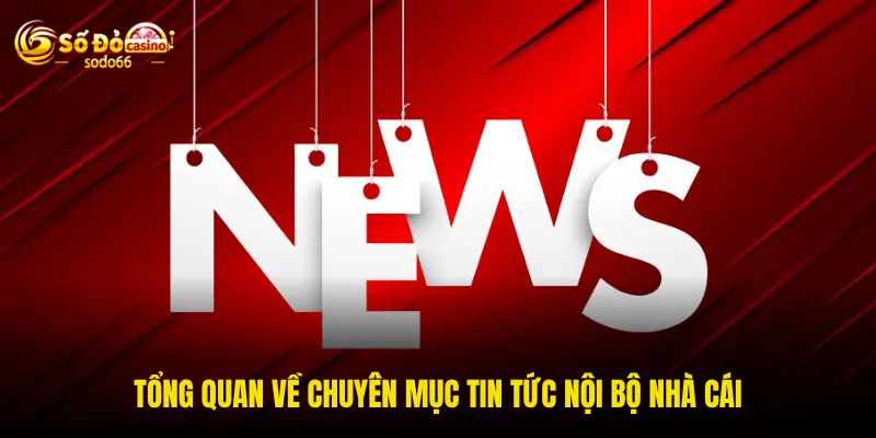 Tổng quan về chuyên mục tin tức nội bộ nhà cái